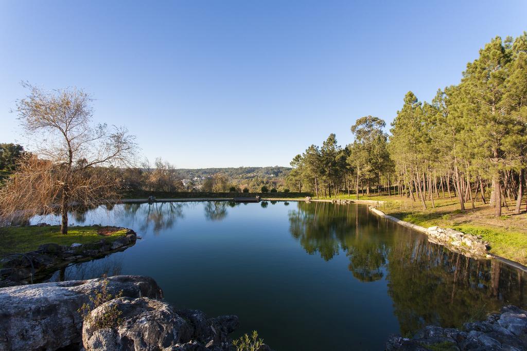 Colina Dos Piscos Casais da Abadia Bagian luar foto