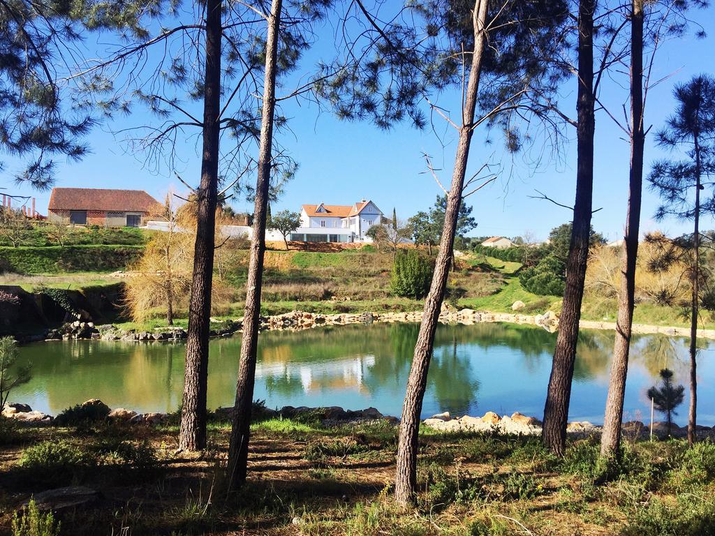 Colina Dos Piscos Casais da Abadia Bagian luar foto